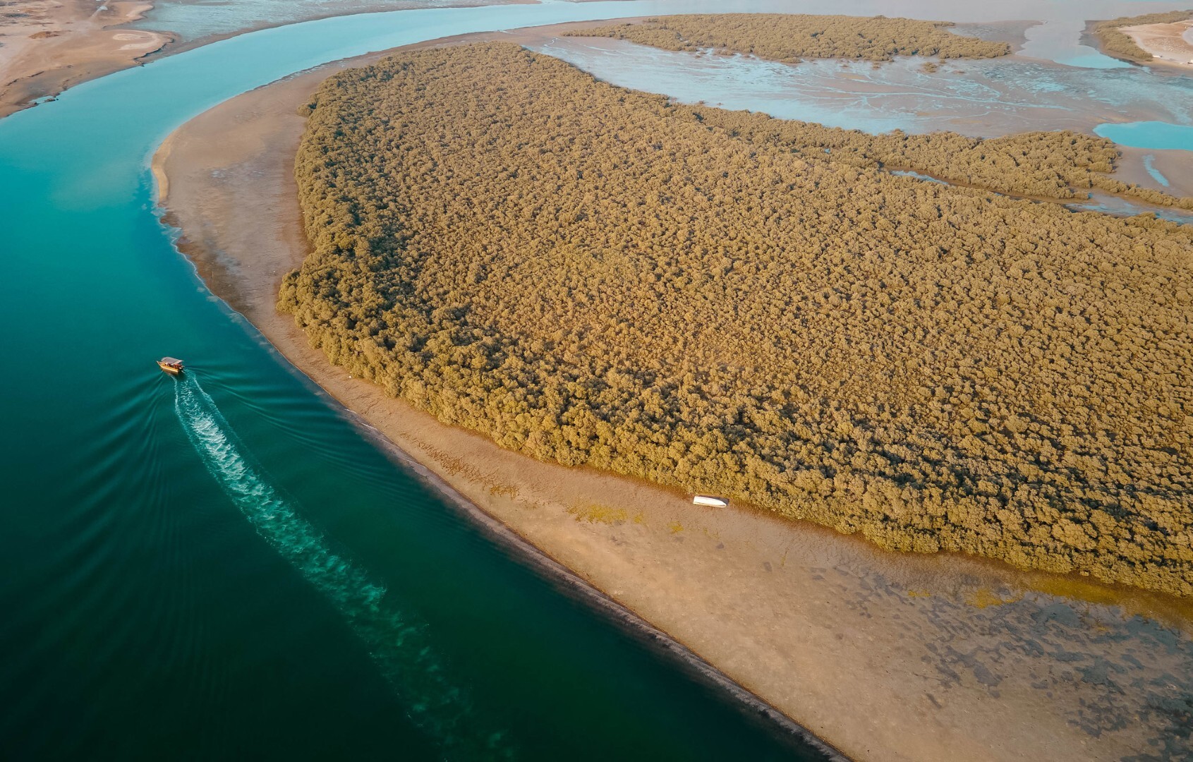 Mangroves along the Ras Al Khaimah coast, seen from above