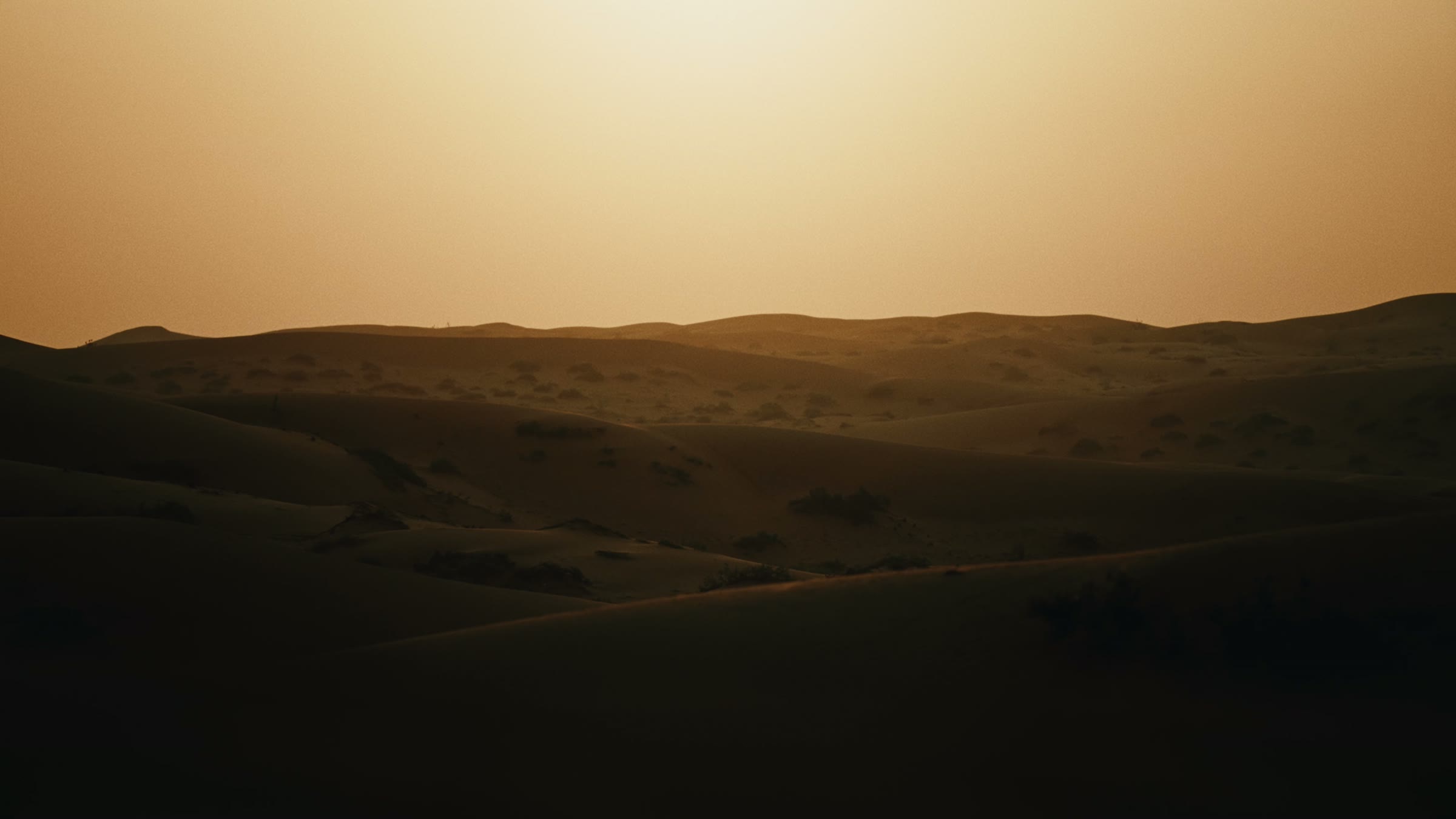 Golden dunes in the late light