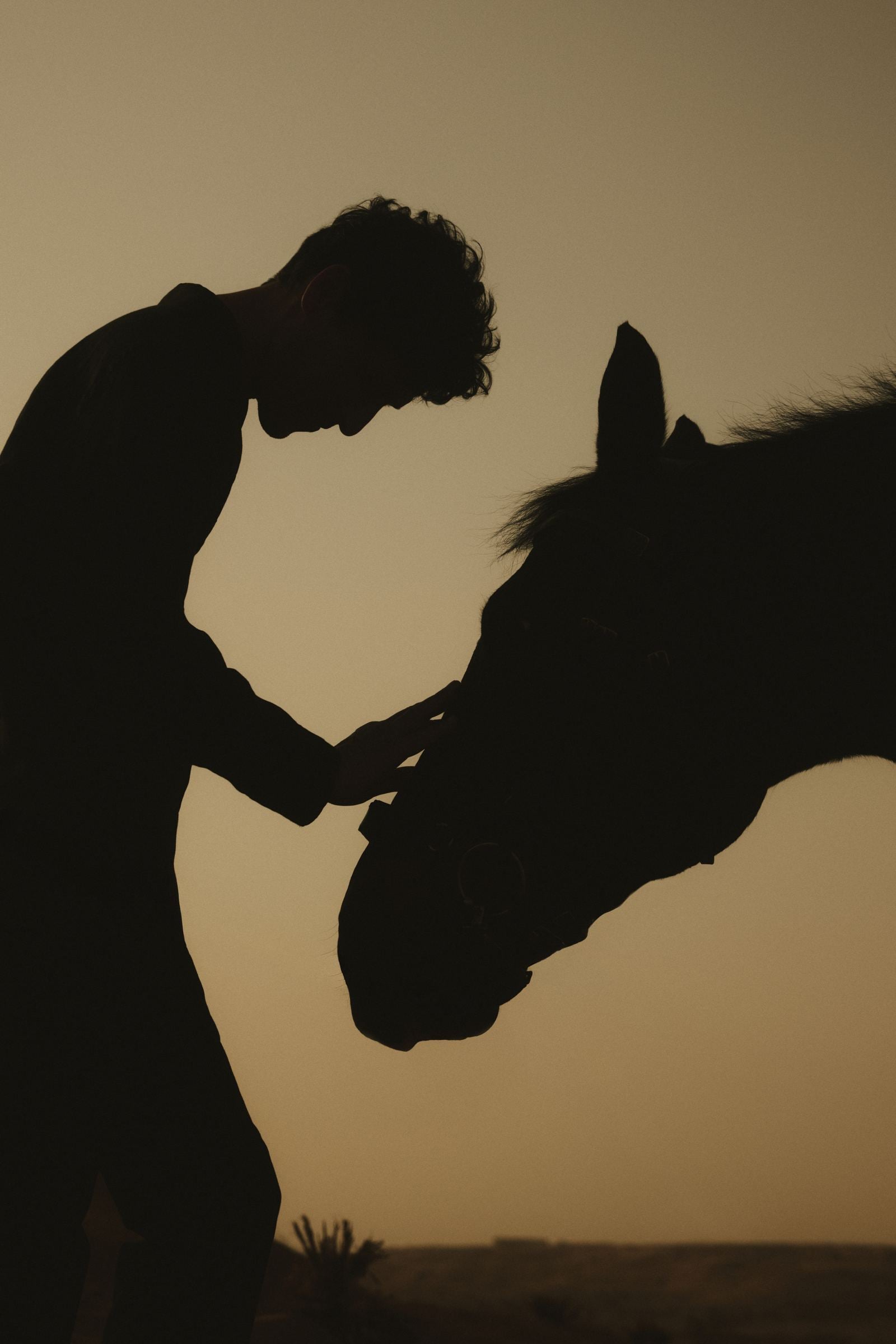A rider greeting a horse at sunset