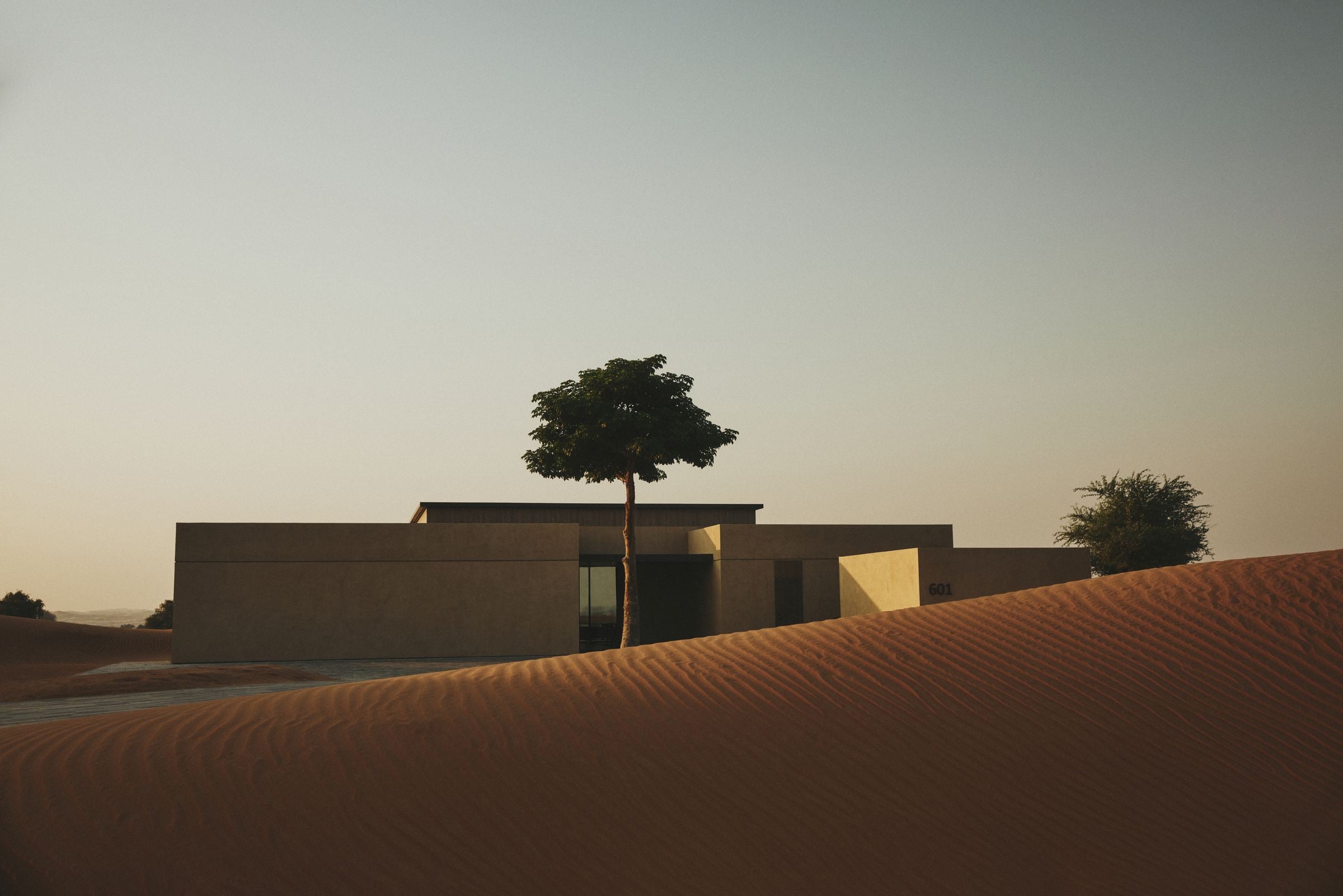 Villas set low in the dunes at dusk